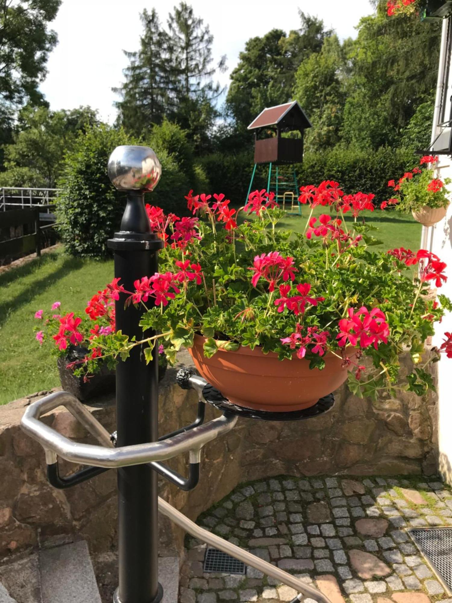 Ferienwohnung Grieser Geising Luaran gambar